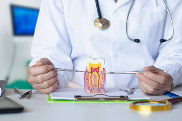Best Emergency Treatment for Oral Infections in Plymouth, PA